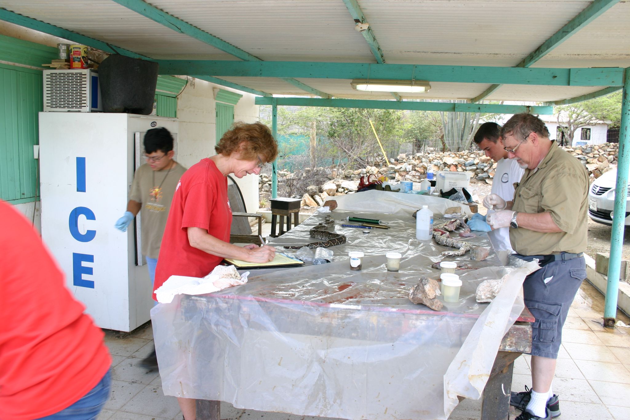 Necropsy team at work